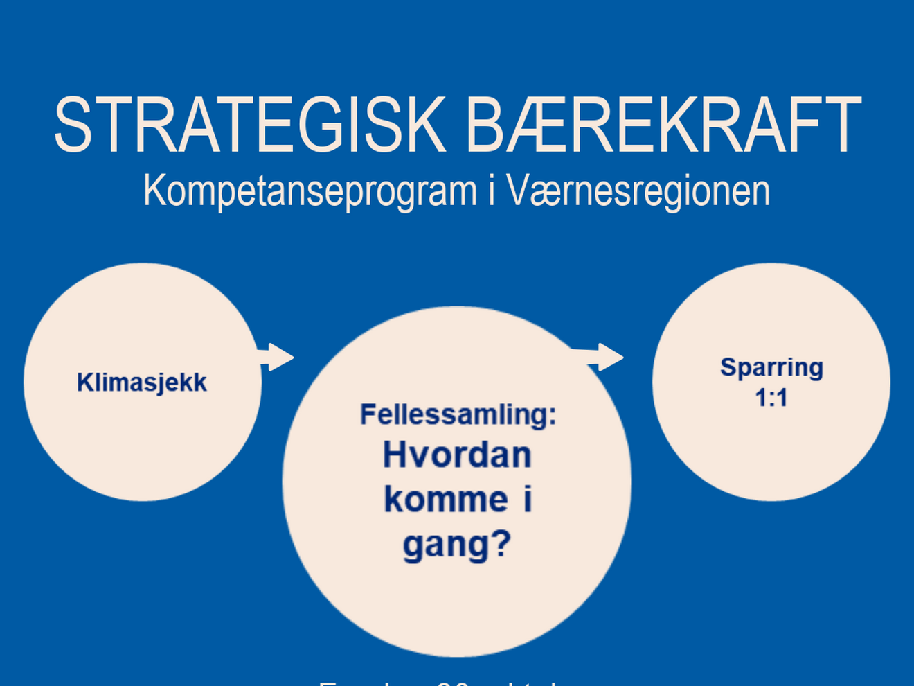 STRATEGISK BÆREKRAFT